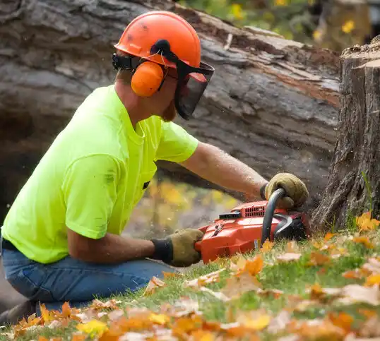 tree services Stromsburg